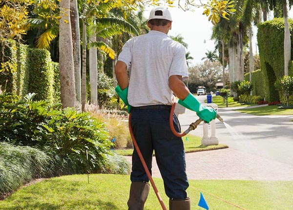 About Grant IA Pest Control